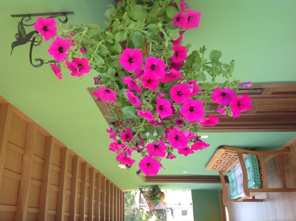 Casas Rurales Prieto Cortes エクステリア 写真
